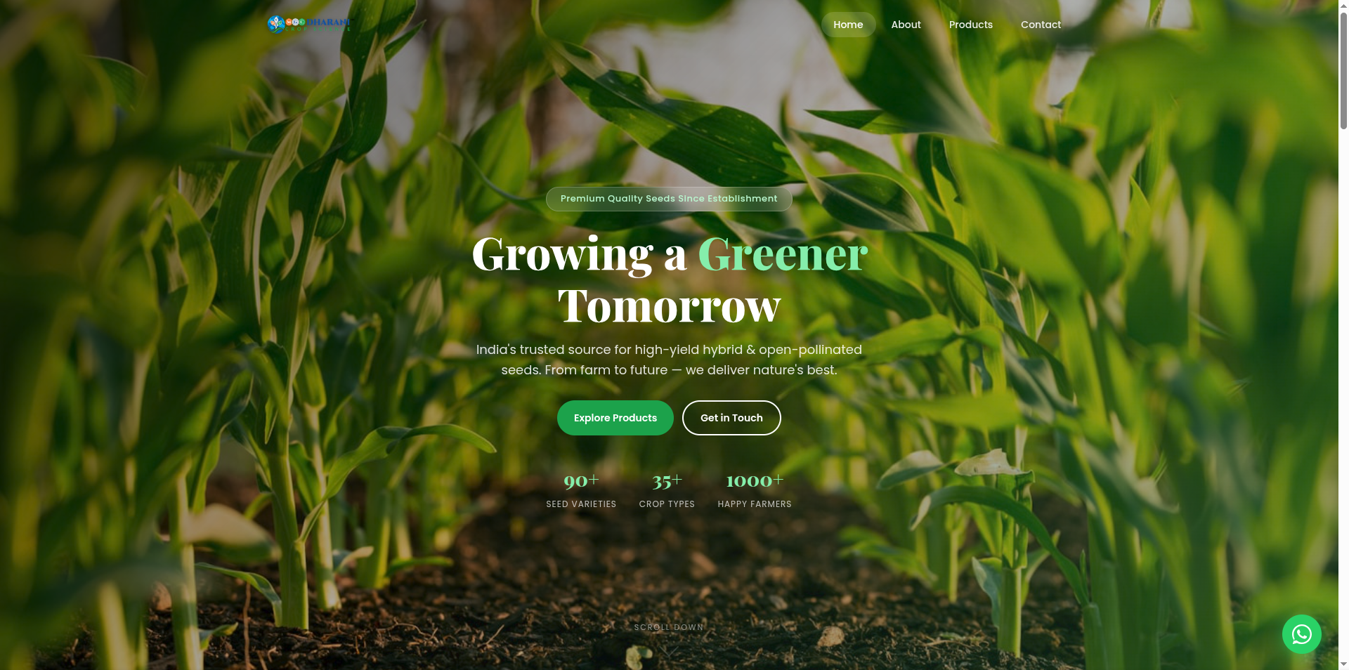 MGC Seeds Website Screenshot